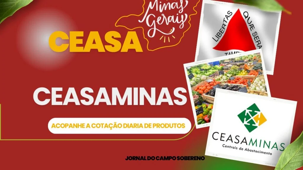 Ceasaminas - Cotação Diária Atualizada 2 Ceasaminas
