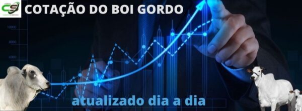 COTAÇÃO DO BOI GORDO