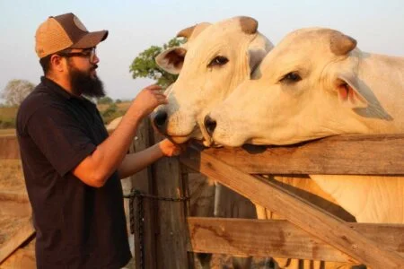 Henrique & Juliano estreia em leilões de gado 2 henrique juliano estreia em leiloes de gado
