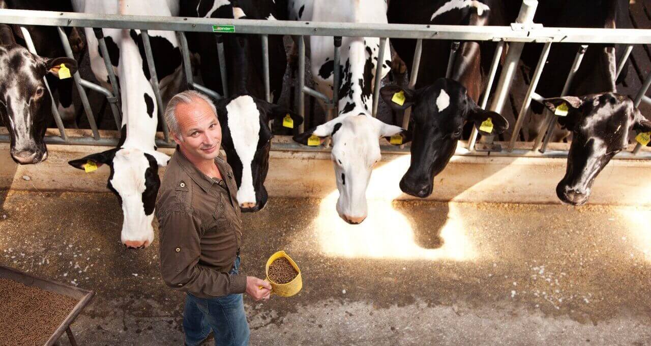 Lucro Do Leite - Como Potencializar Em Tempos de Crise