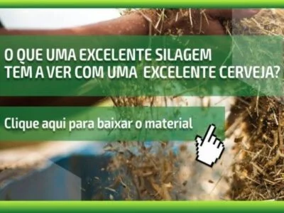 o que silagem tem a ver com cerveja pdf grastis