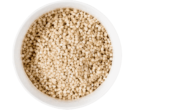 Png Transparent Cereal Sorghum Gluten Free Diet Bran Flour Flour Food Whole Grain Gluten Removebg Preview Preço Do Sorgo