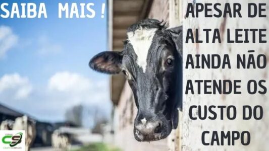 saiba mais apesar de alta leite ainda nao atende os custo do campo
