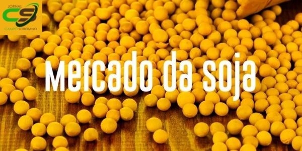Atenção ! para o mercado da Soja nesta semana