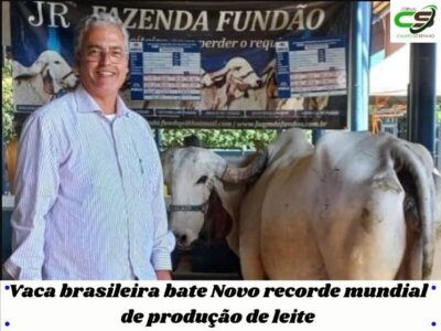 urgente vaca brasileira bate novo recorde mundial de producao de leite