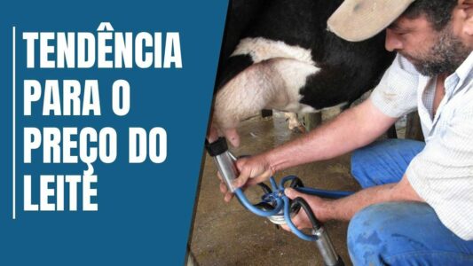 valor de referencia do leite tem alta de 1207