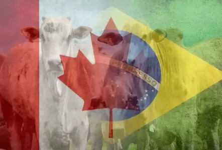 Brasil e Canada agro 11zon 11zon 1 1