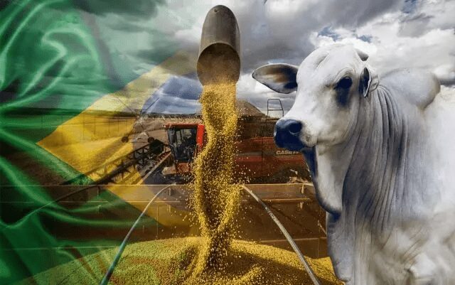Entenda Os Desafios Do Brasil Como Player Mundial Do Agro Plano Safra Banco Investe R$ 175 Bilhões Pra O Agro