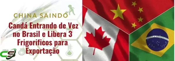 China saindo e Canadá Entrando no Brasil e Libera 3 Frigorificos
