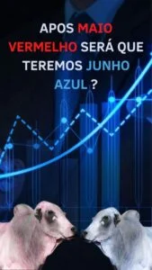 Boi - O Boi Voltara a ter Força no Mercado 2 Boi - O Boi Voltara a ter Força no Mercado Editar com Elementor