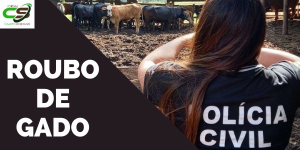 Furto de Gado