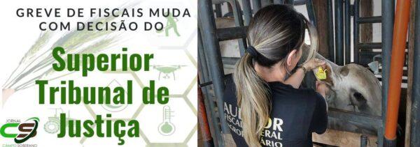 greve de fiscais muda com decisao do stf