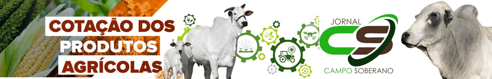 Jornal Campo Soberano