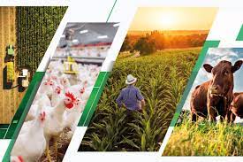 Plano Safra - 2022/23 - Devemos Ser Otimista ou Pessimista ?