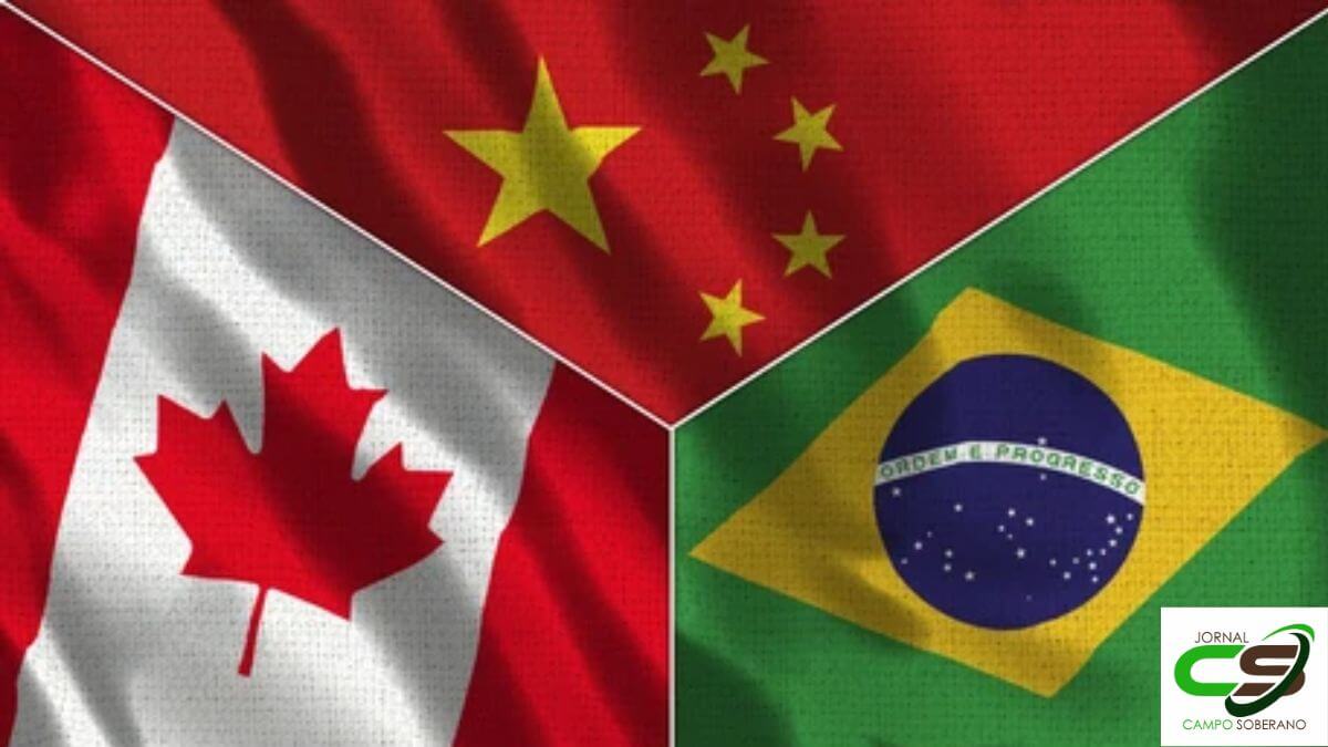 Canadá Liberar frigorifico "Nossa Nova China"