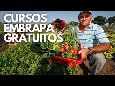 Embrapa Disponibiliza Cursos Grátis
