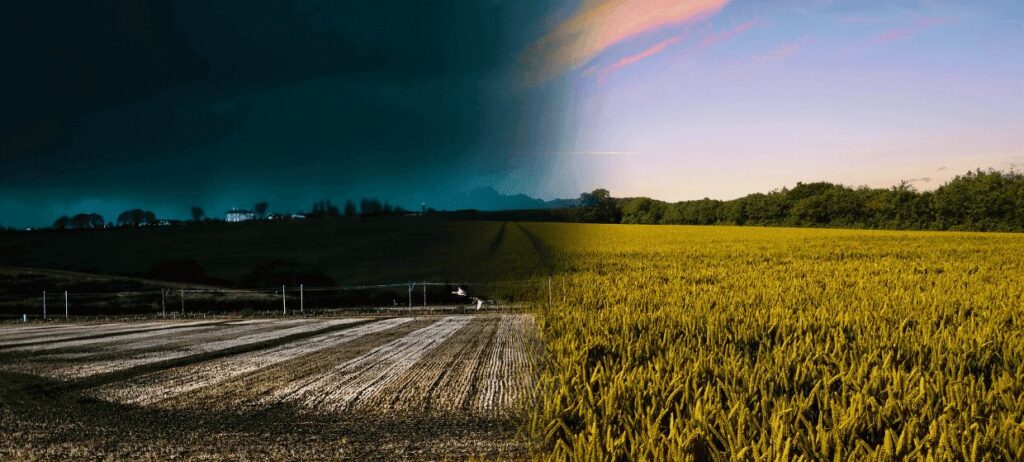 Excesso de chuvas - Pasto de gado leiteiro e Afetado