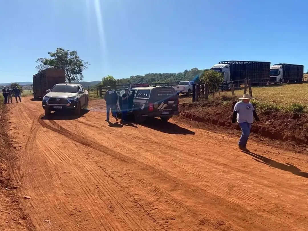 Golpe de Boiadeiros Preocupa Criadores