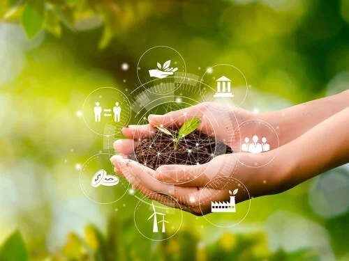 Plano Safra Chegara aos Produtores ?