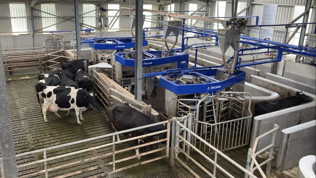 3 robôs para uma fazenda Tipperary de 230 vacas 33 3 robos para uma fazenda tipperary de 230 vacas