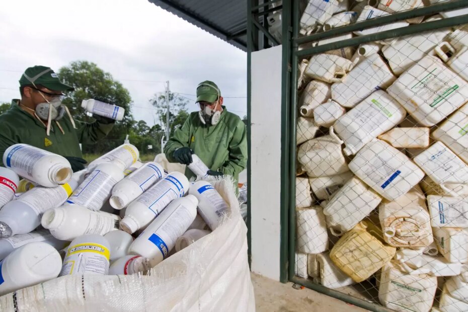 Agricultores enviam 99 das embalagens de agroquimicos para reciclagem