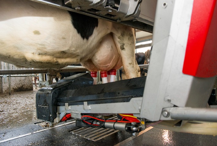 Assistencia tecnica abrangente traz seguranca aos produtores de leite que