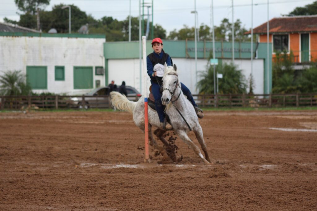 Exposição do Cavalo Árabe