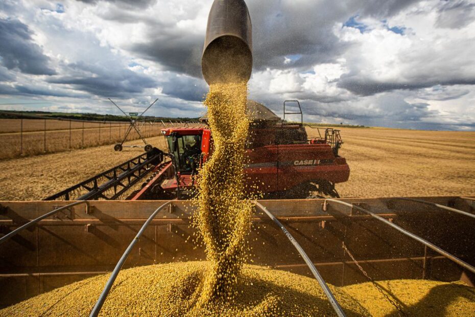 Multinacionais controlam o mercado mundial da soja