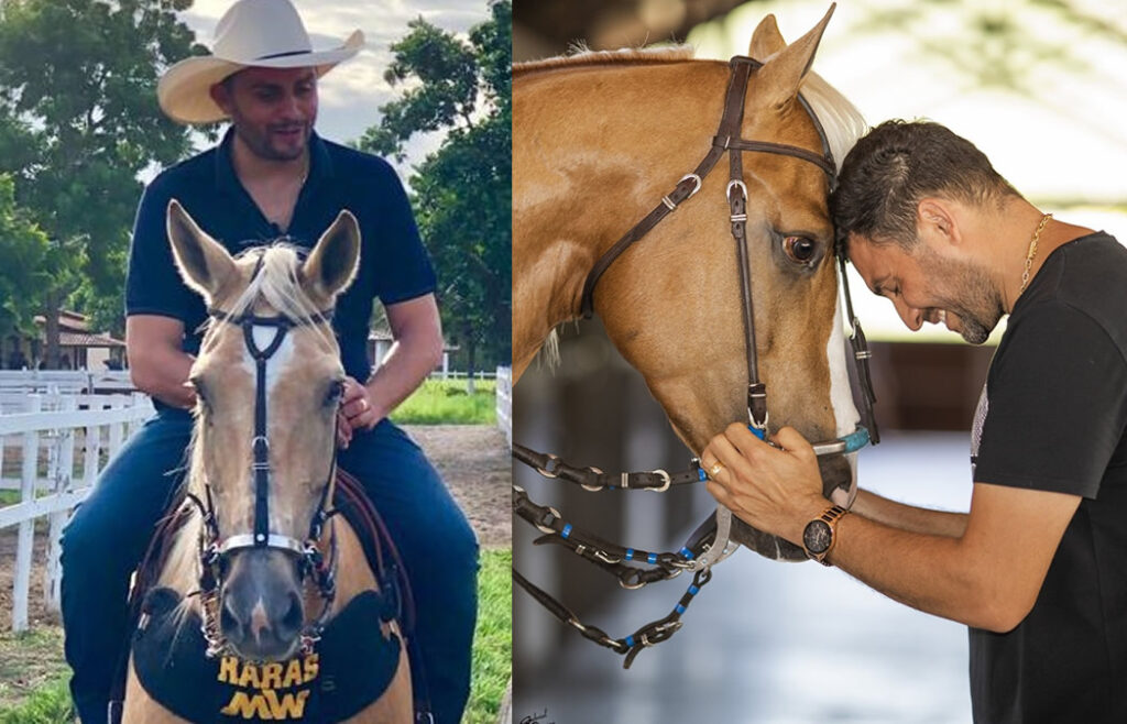 Conheca a Fazenda Milionaria de Mano Walter