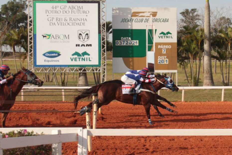 Jockey Club De Sorocaba Tem Inscrições Abertas Para Temporada 2023 2023