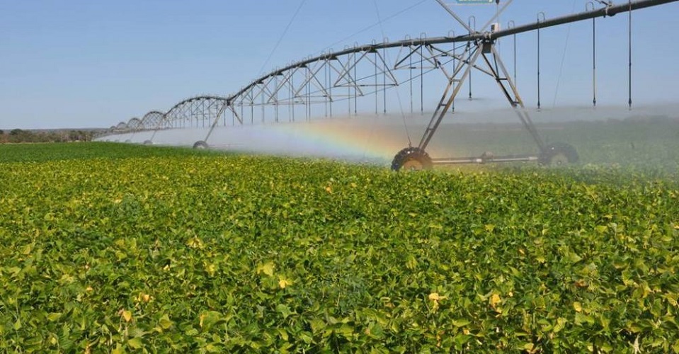 Por falta de agua irrigacao em Morada Nova esta parando