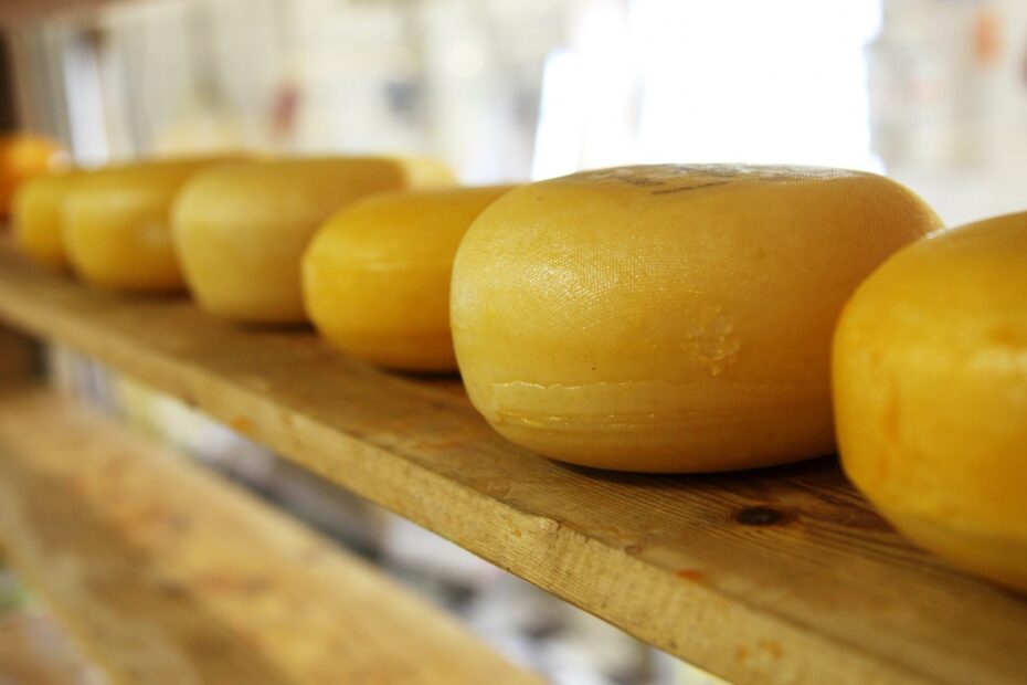 Conheça regulamentação para produtores de queijo minas