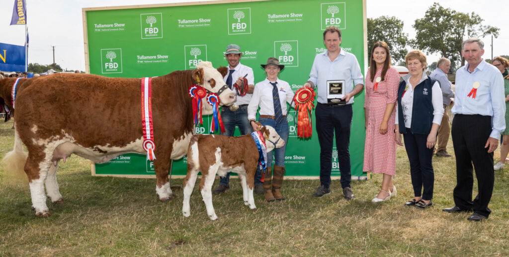 Resultados da pecuaria e vencedores no Tullamore Show