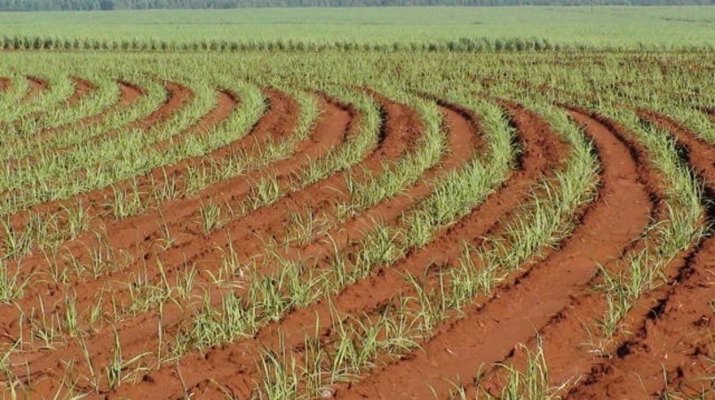 USP cria metodo que calcula potencial produtivo de solos agricolas