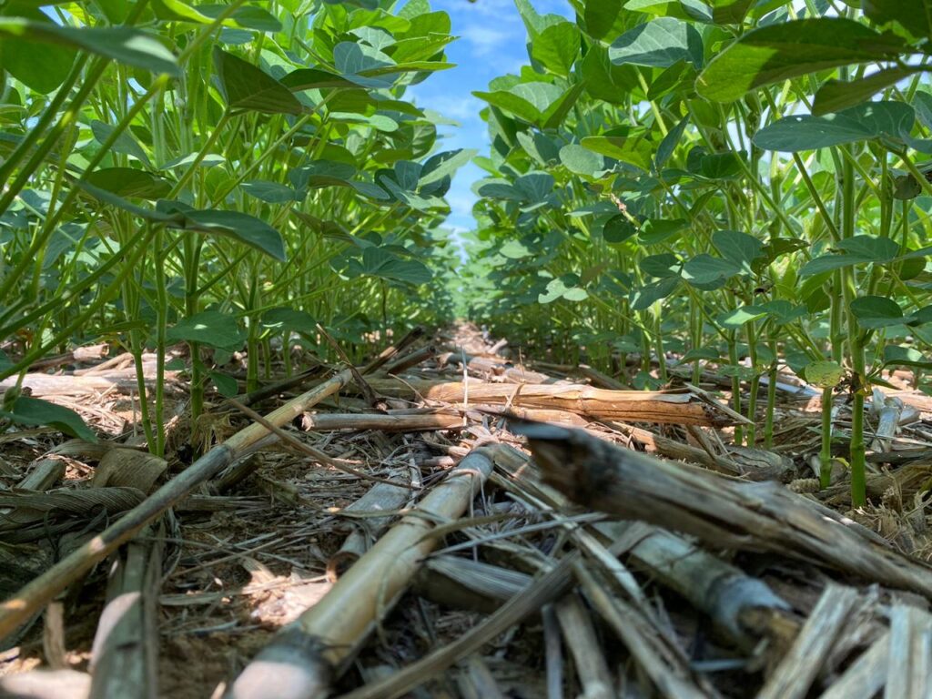 aprosoja brasil publica carta de produtores em defesa da soja sustentavel