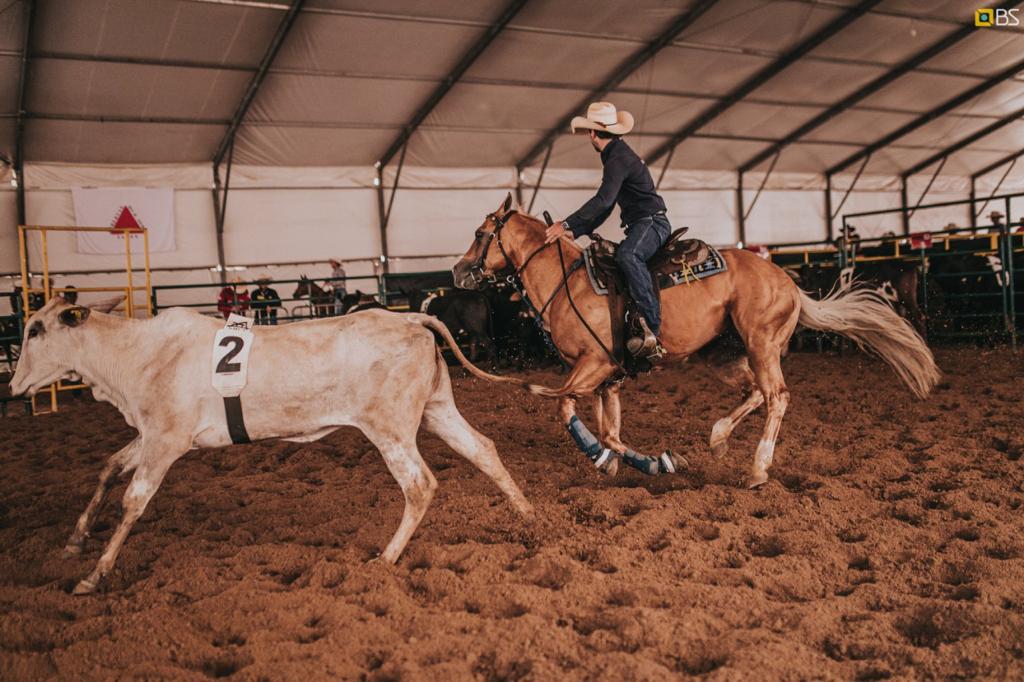 Campolina e Quarto de Milha vão ter a maior prova de “Ranch Sorting” do país