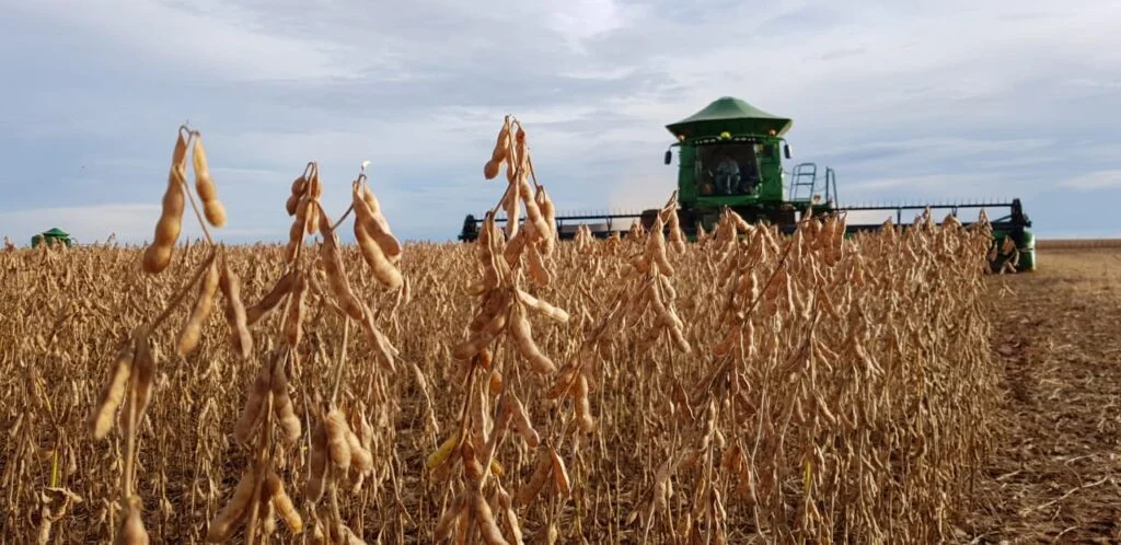 Colheita de soja atinge 0,85% da área no Brasil, diz Pátria AgroNegócios 2 colheita de soja atinge 085 da area no brasil diz patria agronegocios 3