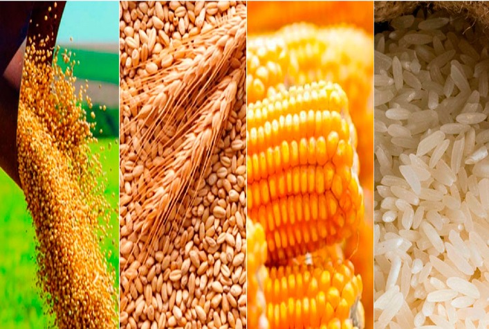 com um aumento de 127 na producao a regiao sudeste deve colher mais de 2714 milhoes de toneladas de graos nesta safra