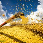 conab estima safra de graos em 2714 milhoes de toneladas em 2021 22