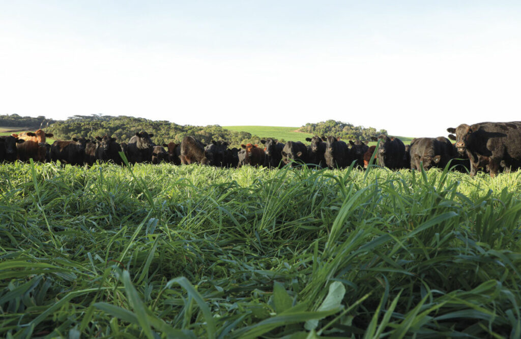 conheca a fazenda que reserva areas para experimentos agricolas sustentaveis 1
