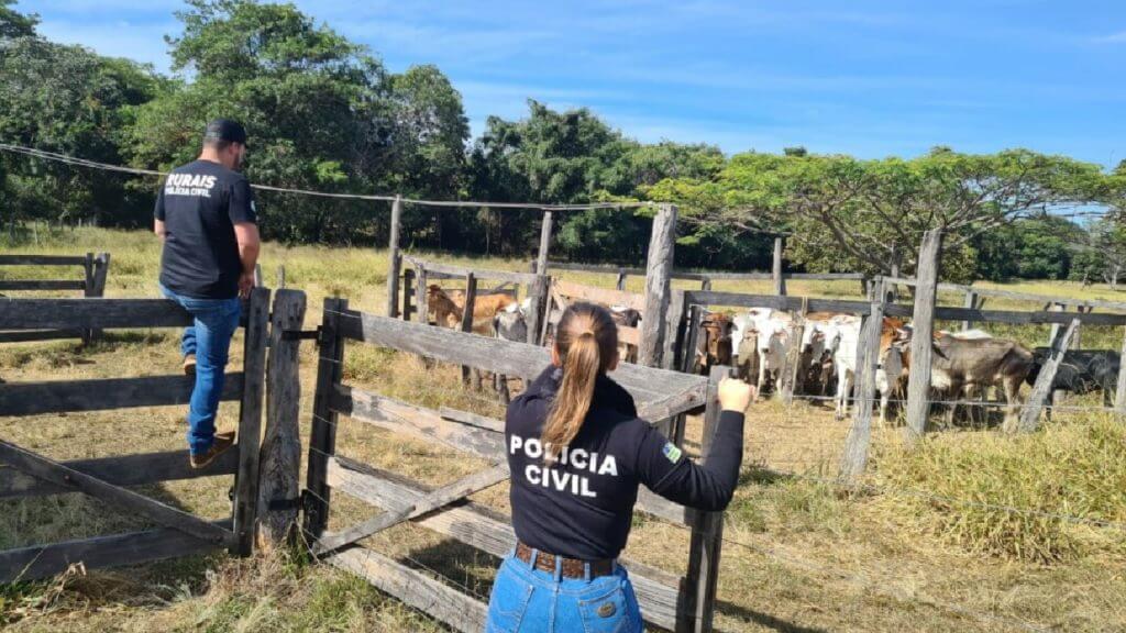 Crimes Rurais Vira Rotina No Sul Do País