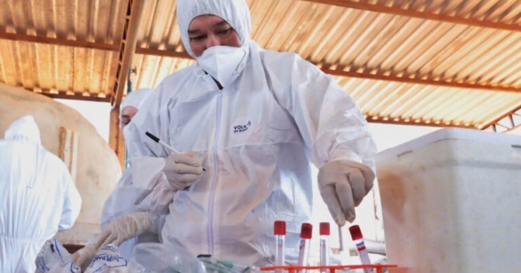 curso vai capacitar medicos veterinarios sobre diagnostico da vaca louca portal dbo 4