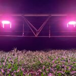 Empresas lançam suplementação leve para agricultura