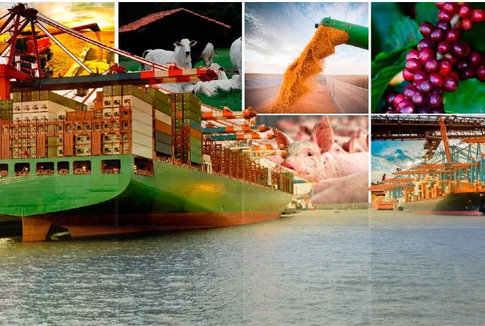 Exportações agrícolas somaram US$ US$ 14,3 bilhões em julho e bateram recorde no mês 2 exportacoes agricolas somaram us us 143 bilhoes em julho e bateram recorde no mes