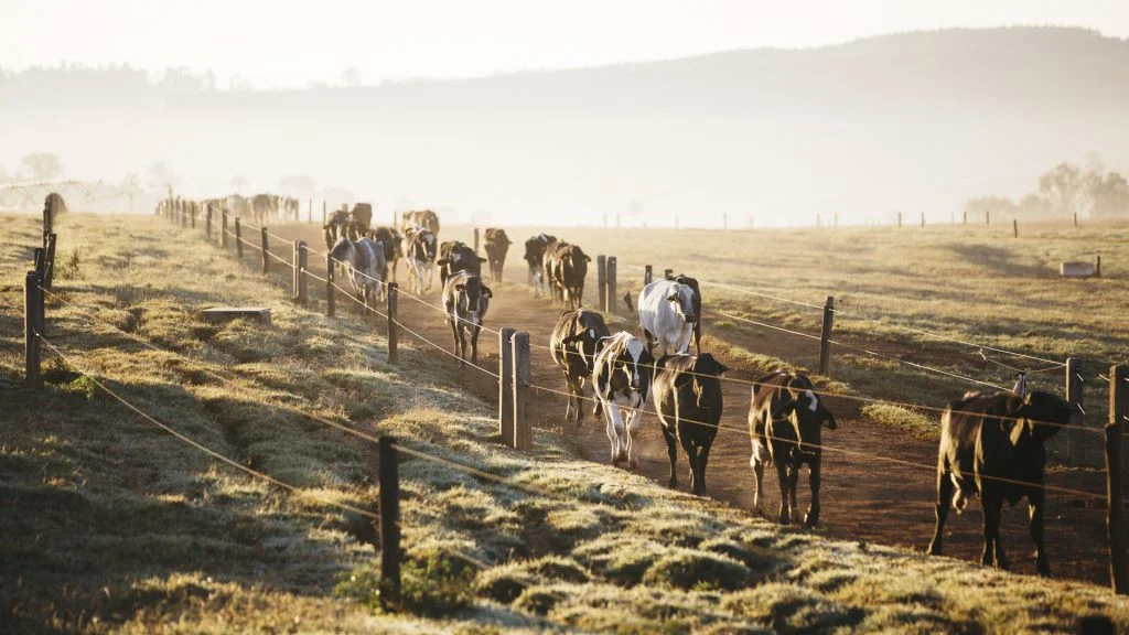 Fator positivo nos índices de desempenho