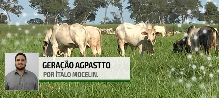 Fertilizar: vale a pena? Nutrição animal 16 fertilizar vale a pena nutricao animal 1