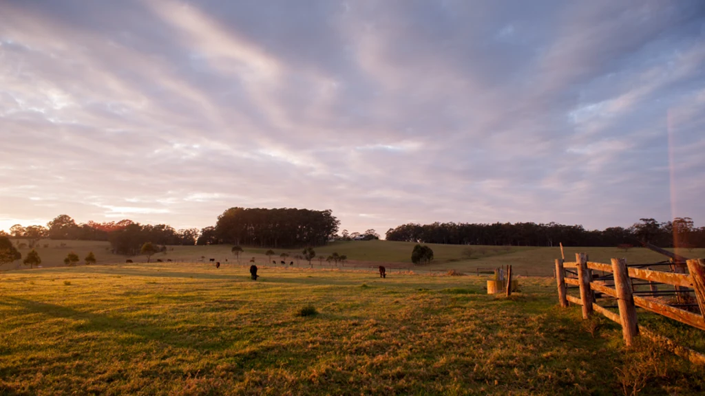 Gestão de propriedades rurais - Conheça o perfil da sua propriedade 8 gestao de propriedades rurais conheca o perfil da sua propriedade