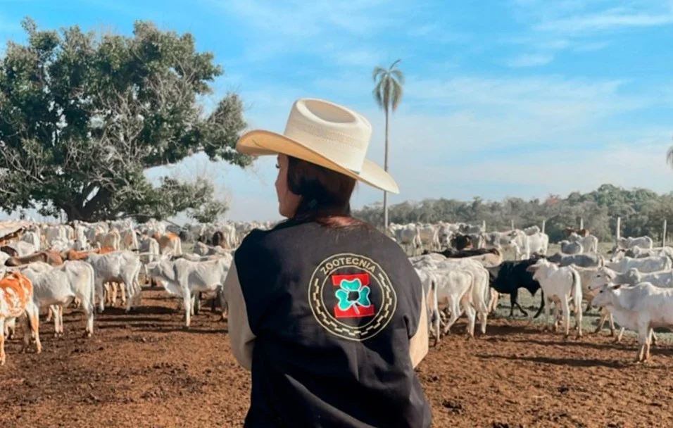jovens produtores podem financiar ate r 20 mil veja como 1