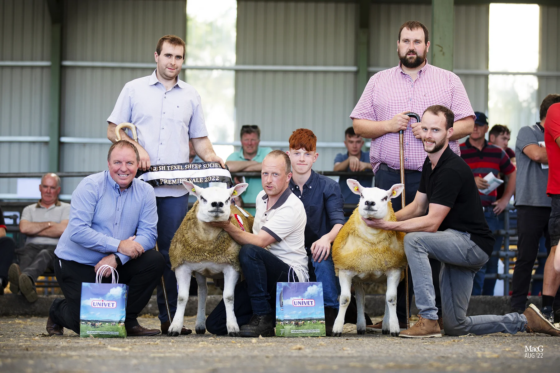 Negocie tão quente quanto o clima na venda principal da Irish Texel 7 negocie tao quente quanto o clima na venda principal da irish
