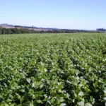 Novidades de mais de 120 marcas nacionais e internacionais estarão no Congresso Andav 2022 2 novidades de mais de 120 marcas nacionais e internacionais estarao no congresso andav 2022